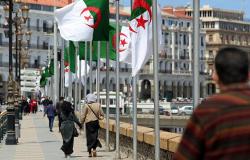 روسيا تشيد بعلاقاتها مع الجزائر وتعتبرها الأهم في شمال أفريقيا