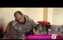السفيرة عزيزة - تقرير عن " فندق الرحمة .. فندق لاستضافة الحيوانات الأليفة في مصر "