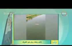 8 الصبح - الإعلامية أية الغرياني تعرض فيديو لـ ( كلب ينقذ رجل من الغرق )