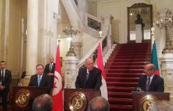 تفاصيل رؤية وزراء خارجية مصر والجزائر وتونس لحل الأزمة الليبية
