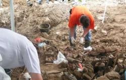 العثور على 18 جثة في مقابر جماعية سرية بالمكسيك