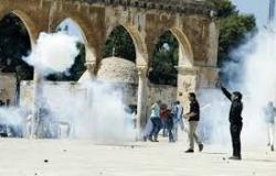 عاجل| مواجهات في محيط الأقصى بين محتجين فلسطينيين وقوات الاحتلال