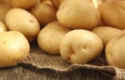 الزراعة تعلن فتح الأسواق التركية أمام البطاطس المصرية