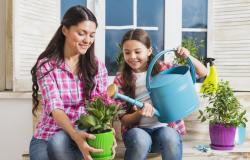 8 تطبيقات تساعدك على الزراعة المنزلية وتجميل حديقتك خلال…