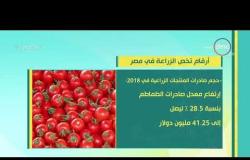 8 الصبح - أرقام تخص الزراعة في مصر