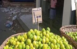 الزراعة: 3 أسباب وراء ارتفاع سعر الليمون