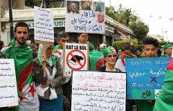 سيناتور جزائري: الدعوة للحوار الآن تتمحور حول نقطة واحدة