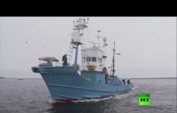 بعد 31 عاما اليابان تعود لصيد الحيتان
