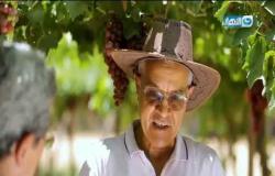 باب الخلق | حكاية الدكتور طارق حلمي من اسرع جراحي العالم مع مزرعة العنب