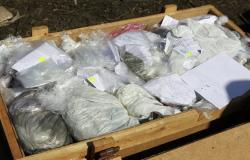 إحباط محاولة تهريب كميات ضخمة من المخدرات جنوب العاصمة السورية دمشق