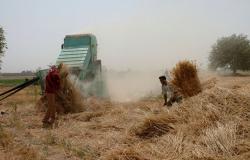 مصدر سوري يكشف حقيقة إيقاف "قسد" لعملية تسليم القمح في الحسكة