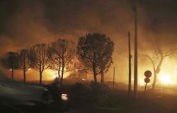 فيديو...الحرائق تأتي على أكثر من 6000 هكتار من الغابات في الجزائر