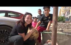 "كدت أموت من سم الكلاب في مصر"