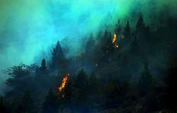 الجزائر.. الحرائق تلتهم أكثر من 190 هكتار من الغابات في يوم واحد
