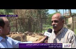 الأخبار - وزارة الزراعة تعد خطة لرفع العبء عن كاهل المواطنين بمناسبة عيد الأضحي