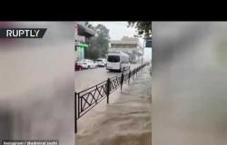 الفيضان ربيع الأطفال واللامبالين.. سكان سوتشي يسبحون في مياه الأمطار