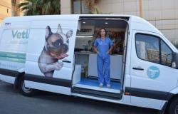 طبيبة بيطرية لبنانية تقود حافلة عيادة متنقلة وتسعف الحيوانات (صوروفيديو)