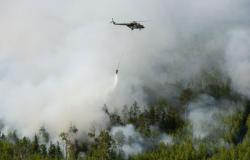 مساحة حرائق الغابات في روسيا تتسع خلال الـ24 ساعة الأخيرة 7.7 ألف هكتار