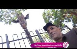السفيرة عزيزة - حكاية أقدم حراس الحيوانات  بحديقة حيوان الجيزة