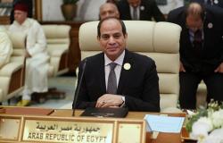 السيسي: الإرهاب يستهدف الجيش لأن مصر تسقط بسقوطه