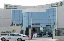 العمل السعودية تسحب ترخيص 12 شركة ومكتب استقدام