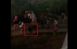 الخارجية: الفيديو المتداول بشأن الاعتداء على طفل بتركيا تبين انه اردني - شاهد