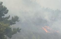 بالفيديو... السماء تتدخل لإطفاء الحرائق وإنقاذ لبنان
