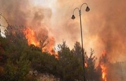 لبنان يستعين بطائرات "دول الجوار" لإخماد الحرائق المستعرة