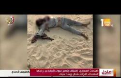الأخبار - المتحدث العسكري: القوات الجوية تدمر 14 مخباً تستخدمها العناصر الإرهابية بوسط شمال سيناء