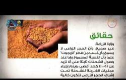الحكومة ترصد 11 شائعة أبرزها إلغاء صرف الأرز والزيت من البطاقات التموينية وتفشي حمي "التيفود"