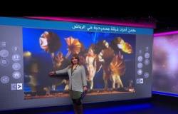 طعن فرقة مسرحية في الرياض والكشف عن هوية الجاني