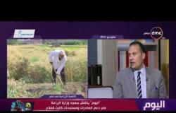 اليوم - "اليوم" يناقش جهود وزارة الزراعة في دعم الصادرات ومستجدات كارت الفلاح
