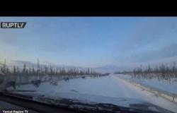 3000 رنّة تفاجئ سائقا في سيبيريا