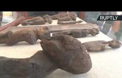 مصر.. اكتشاف أثري مهم في منطقة سقارة