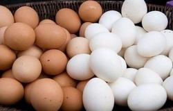 الأردن ينتج 4.5 مليون بيضة في اليوم