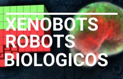 تعرف على Xenobot.. أول “روبوت حي ذاتي الالتئام”