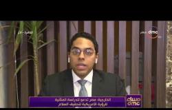 مساء dmc - الخارجية: مصر تدعو للدراسة المتأنية للرؤية الأمريكية لتحقيق السلام