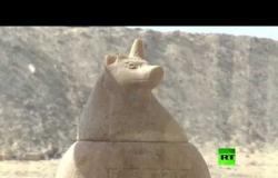فيديو جديد.. اكتشاف 16مقبرة أثرية بالمنيا جنوب مصر