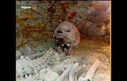 هياكل عظمية وتوابيت داخل مقبرة تونا الجبل في المنيا
