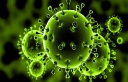 الصحة : شرائح خاصة للكشف السريع عن الإصابة بفيروس كورونا