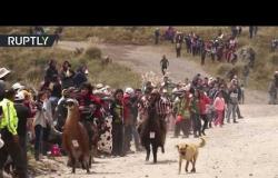 سباق الخيل من دون أحصنة في الإكوادور