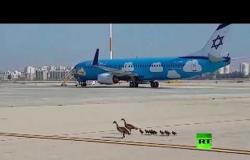 وزّات مصريات يقتحمن مطار بن غوريون