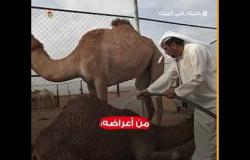 هل يمر كوفيد 19 كما مر سارس وميرس من فصيلة كورونا؟