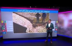 فيديو مؤلم..دفن ملايين الصيصان حية في إيران، تعرفوا على الأسباب