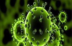 الاردن : 4 اصابات جديدة بفيروس كورونا و7 حالات شفاء