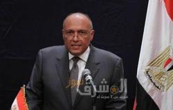 وزير الخارجية: لا يمكن أن تشغل أي أزمة مهما بلغت خطورتها مصر عن القضية الفلسطينية