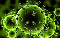خلال 24 ساعة موسكو تسجل 52 حالة وفاة بفيروس كورونا