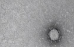 الاردن : 16 اصابة جديدة بفيروس كورونا و4 حالات شفاء
