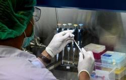 هذا الأسبوع.. "إمبريال كوليدج" تبدأ التجارب البشرية للقاح كورونا