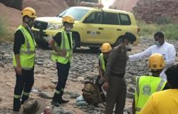 "مدني ضباء" ينقذ 5 أشخاص علقوا بـ"غمرة ديسة" بسبب الإجهاد